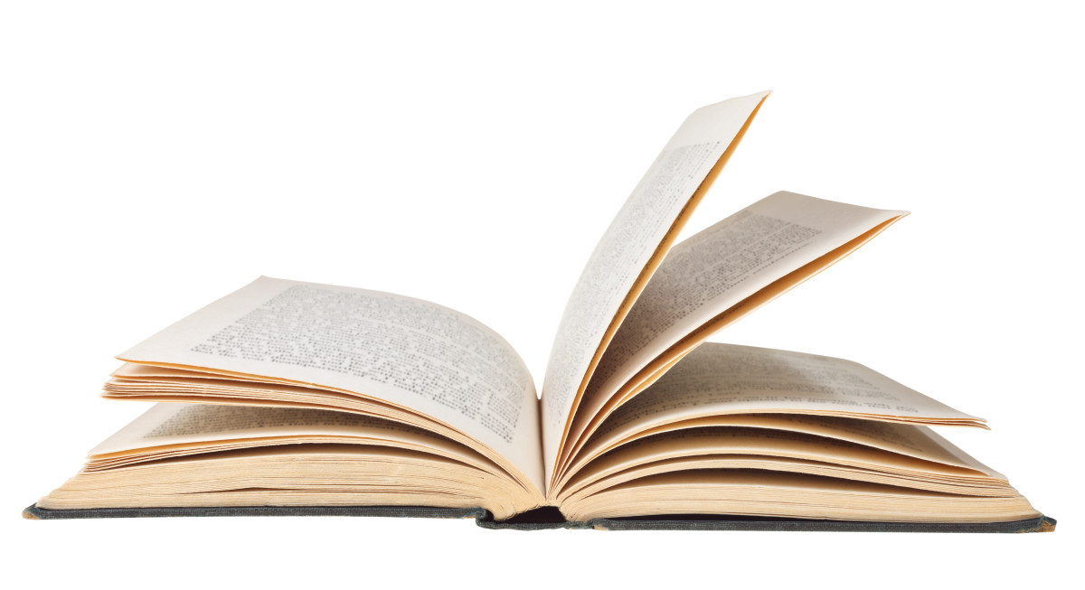 
												<a href="/press/bell-bird-books-tn">
													<strong>Bell Bird Books Opens in Wedgewood Houston</strong>
													<br />The Tennessean
												</a>
											